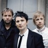 Muse