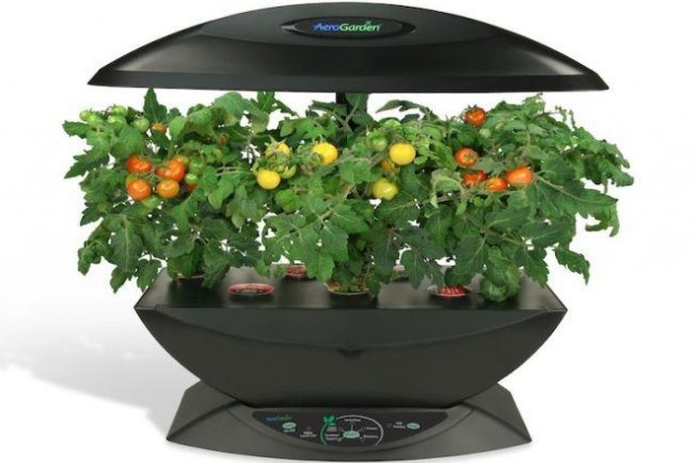 Aerogarden, una interesante opción para plantar nuestro propio huerto