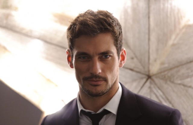 David Gandy