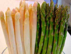 asparagus-esparragos