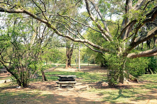 Parque Ibirapuera, Sao Paulo, Brasil