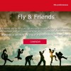 fly and friends