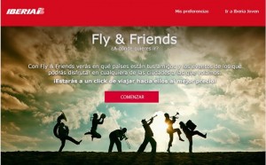 fly and friends