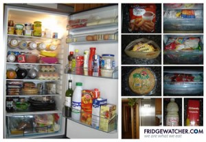 fridgespain1