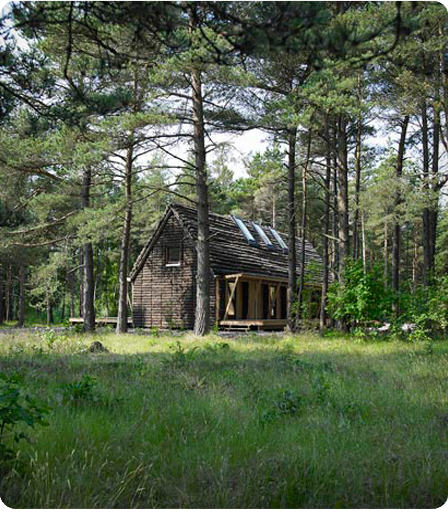 casa-revestida-con-algas