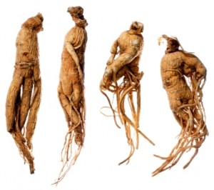 ginseng-ren_shen