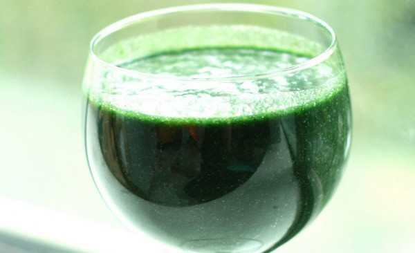 Espirulina