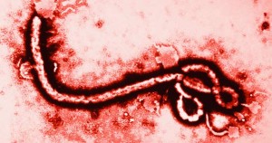 Preguntas sobre el ébola